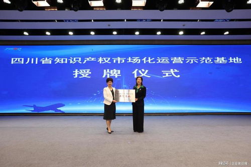 四川省知識(shí)產(chǎn)權(quán)市場化運(yùn)營示范基地授牌暨航空產(chǎn)業(yè)創(chuàng)新聯(lián)合體籌建簽約活動(dòng)在科技企業(yè)孵化器隆重舉行